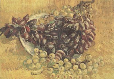 Vincent Van Gogh Still life wtih Grapes (nn04) China oil painting art